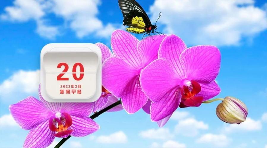 跨年早安问候语（2024，美好的开始）