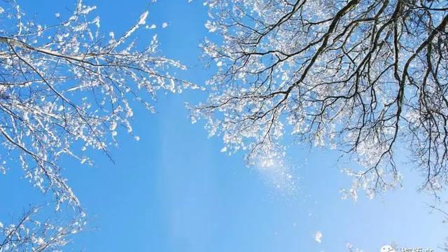 大雪的唯美短句（寒冬里的爱恋）