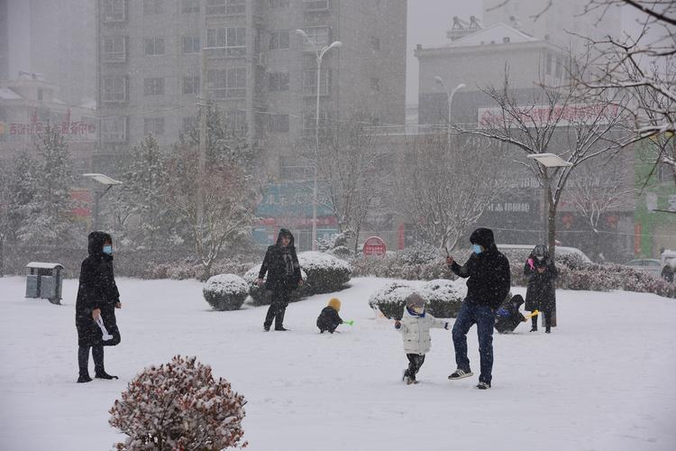 二零二零年第一场雪的说说（初雪降临，宛如童话世界）