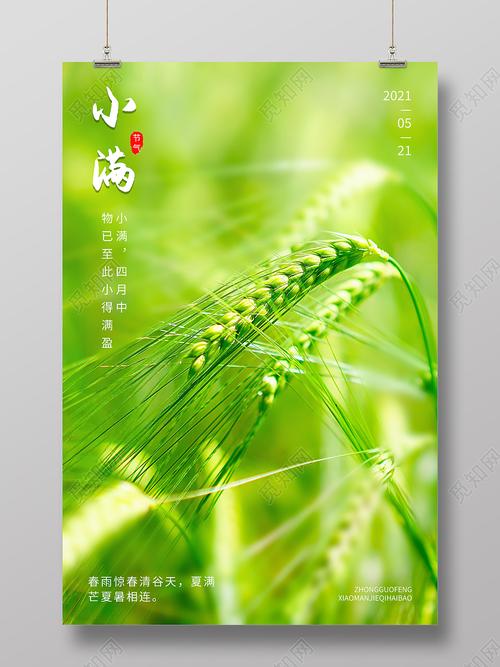 小满节气的优美句子好听（浓情小满，暖心好句）