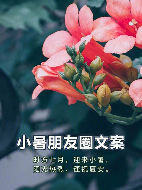 小暑发朋友圈的句子（以唯美短句，品读小暑之美）