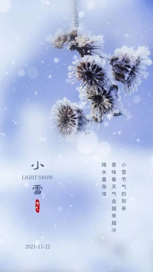 小雪节气的说说唯美大全（小雪节气最适合发朋友圈暖心好句）