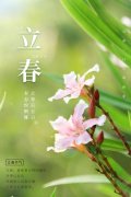 2024立春祝福语说说（《芳草萋萋迎立春，美好生活从祝福开始》）