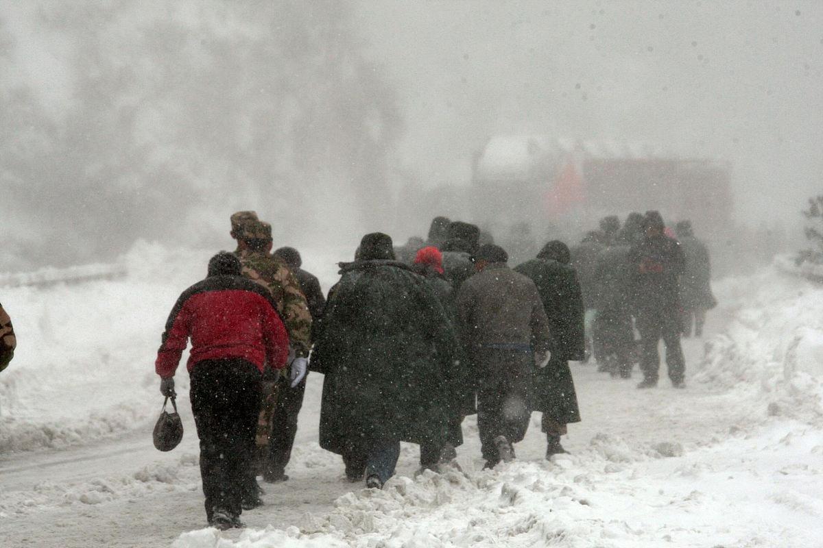 3020年第一场雪说说（初雪落满山——迎接2024冬天的第一场雪）