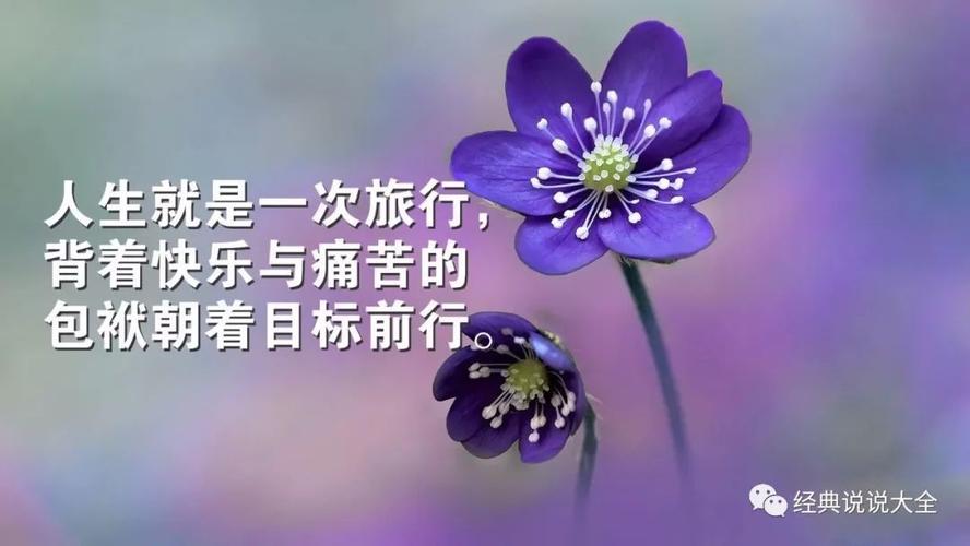 九月请对我好一点的句子（爱与关怀的无限可能）