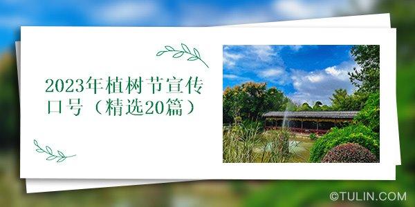 2024年植树节宣传主题（2023经典植树节，让世界更美好）