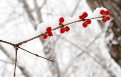 今日立冬短句说说（岁月静好，今日立冬）