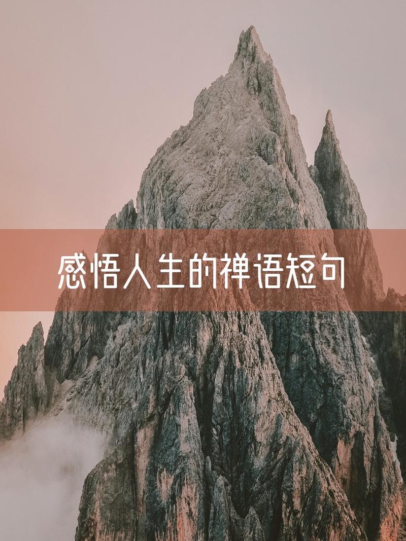 禅语感悟人生的句子句句净化心灵（深夜读经，领悟生命的真谛）