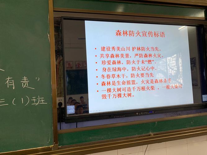 以森林防火为主题的作文300字（《火灾的蔓延，让我们不得不行动》）