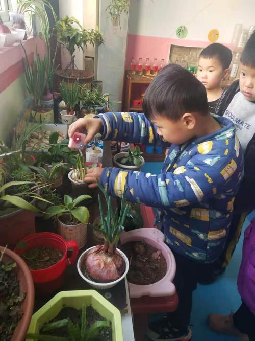 《观察植物》作文（《观察植物的奇妙世界——一个小女孩的成长之旅》）