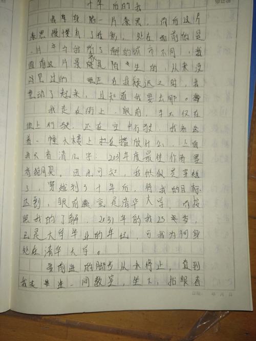 十年后的我作文800字10篇（《十年后的我》）