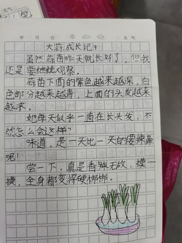 以观察为主题的日记（《草丛中的小探险家》）