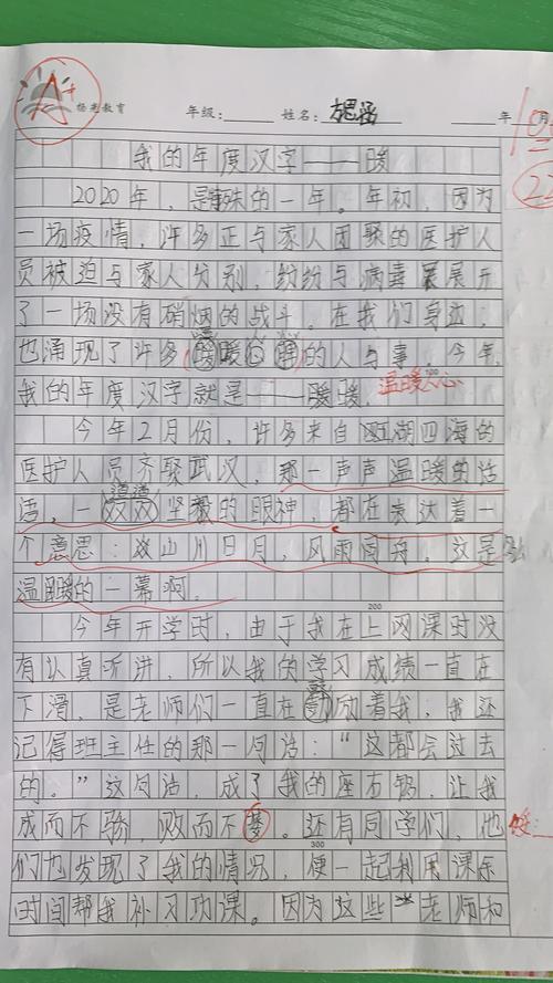 有关我的年度汉字的作文怎么写（《一个勇敢的少年的故事》）