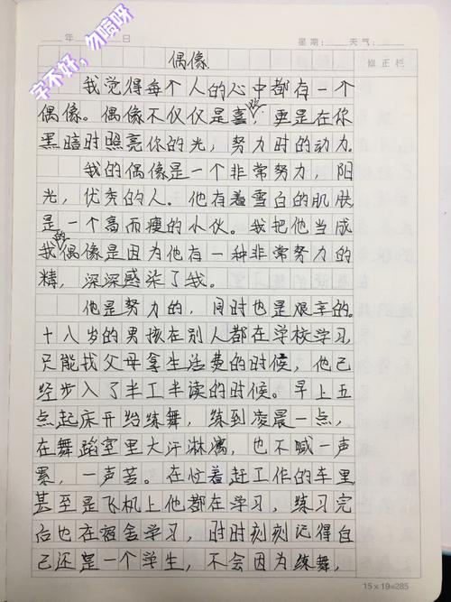 以我的偶像为主题的作文600字（《走过岁月的歌姬》）