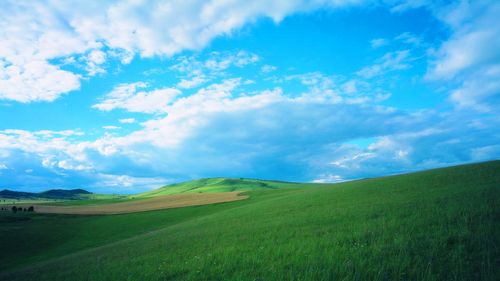 以美丽的风景线写一篇作文（《TheBeautyofNature》）