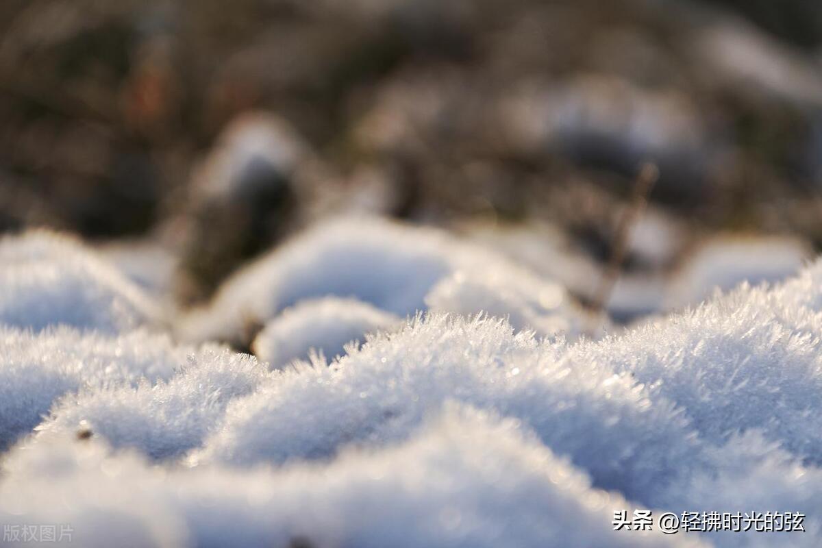 乱雪扑簌簌，流年静悄悄（七首大雪诗词经典）