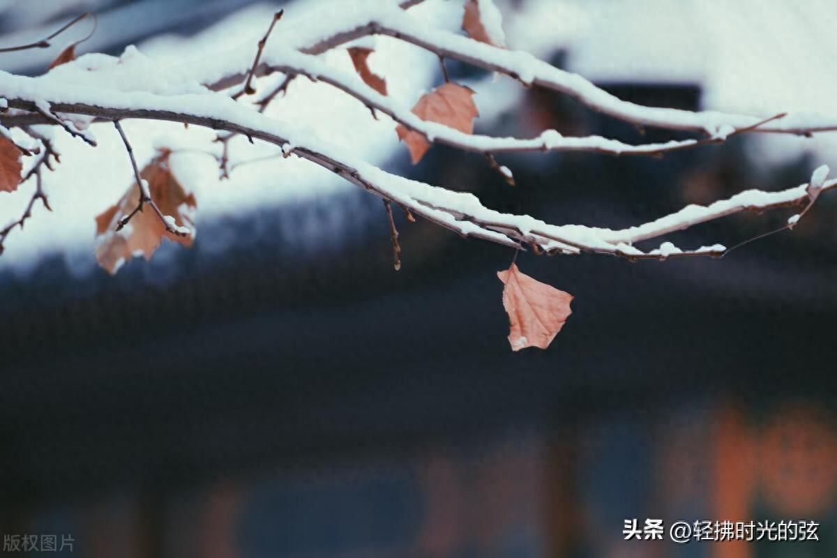 乱雪扑簌簌，流年静悄悄（七首大雪诗词经典）