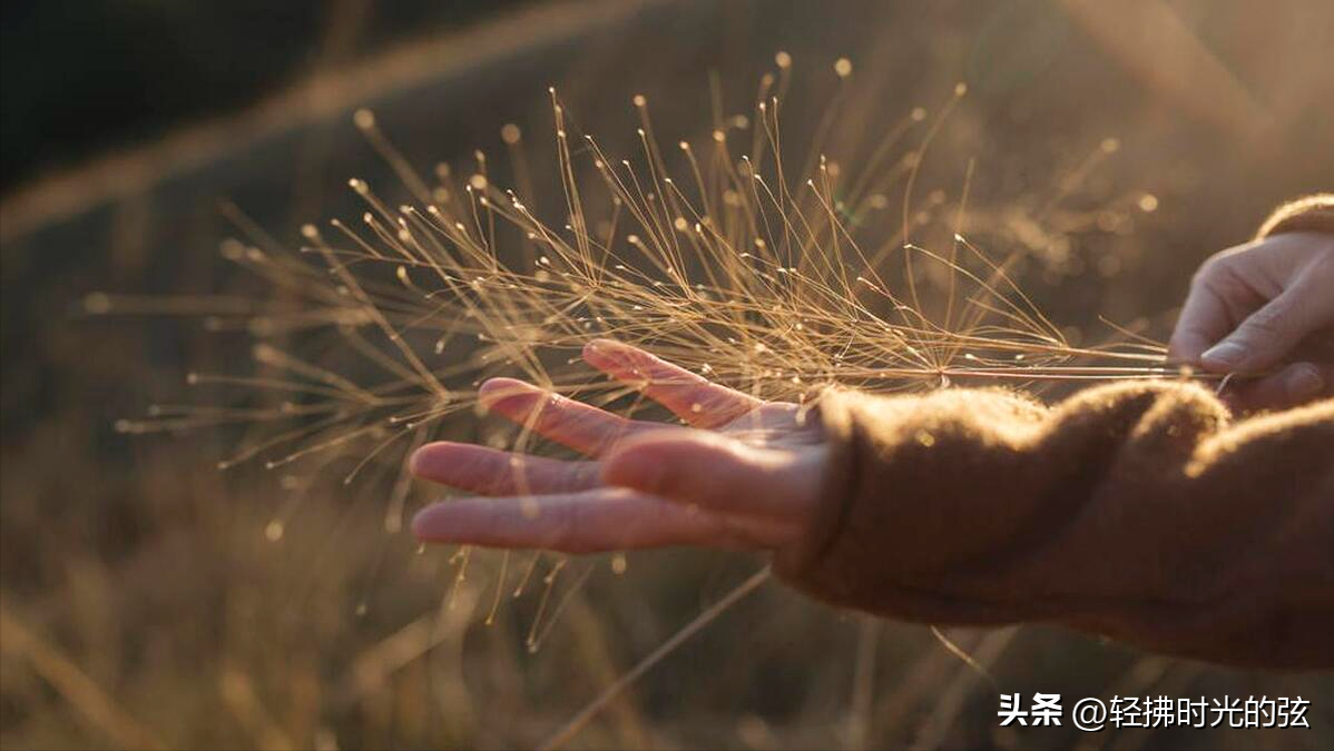 不念过往，不问沧桑（六首暖心诗词经典）