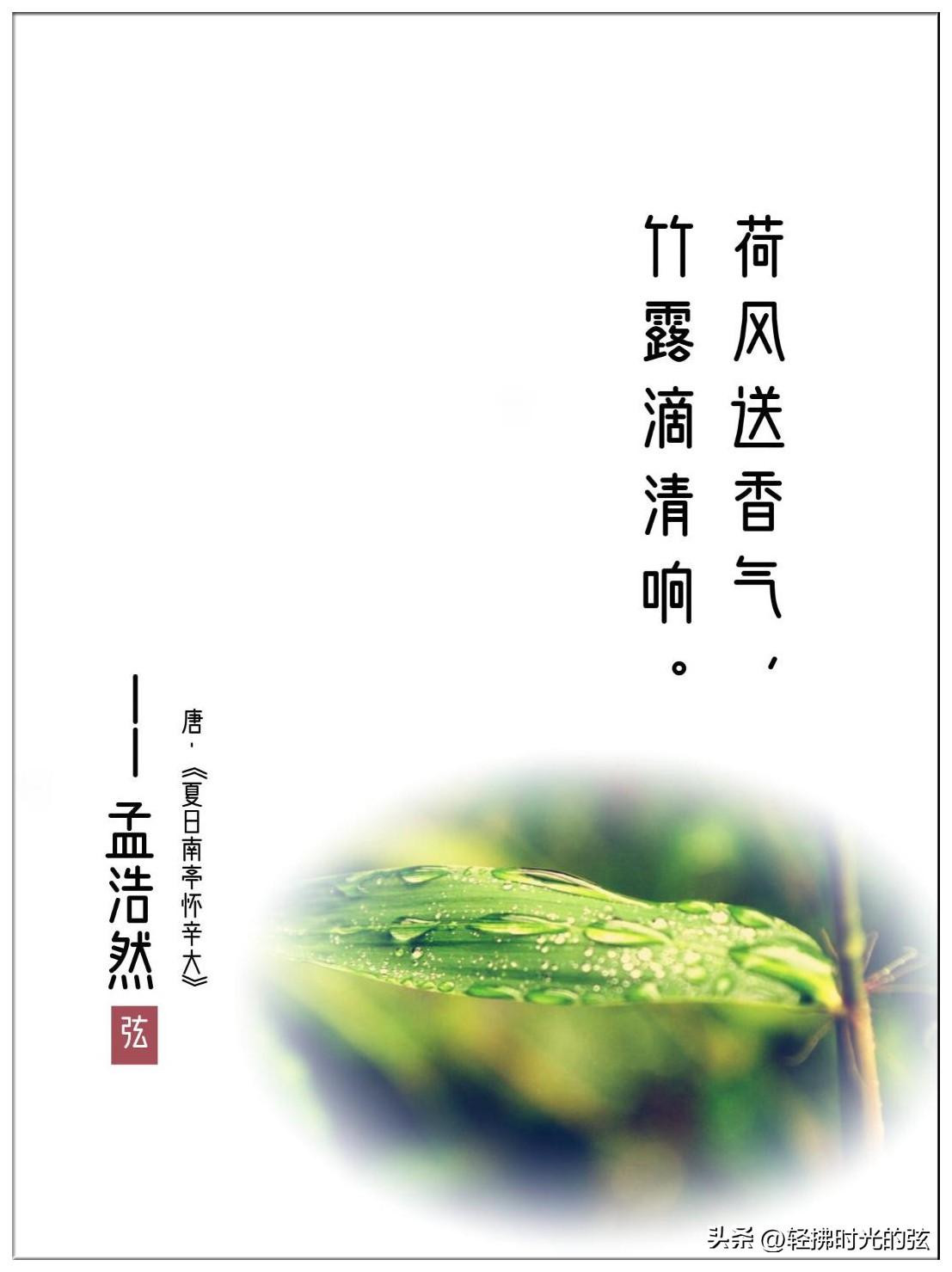 冷露湿桂花，月是故乡明（分享十三首白露古诗词）