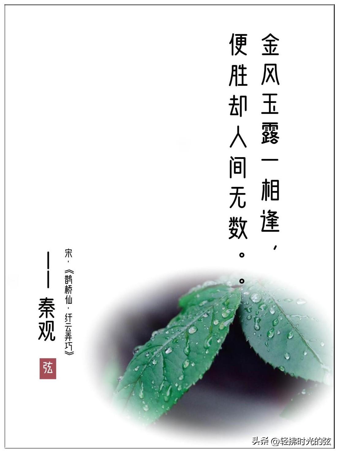 冷露湿桂花，月是故乡明（分享十三首白露古诗词）