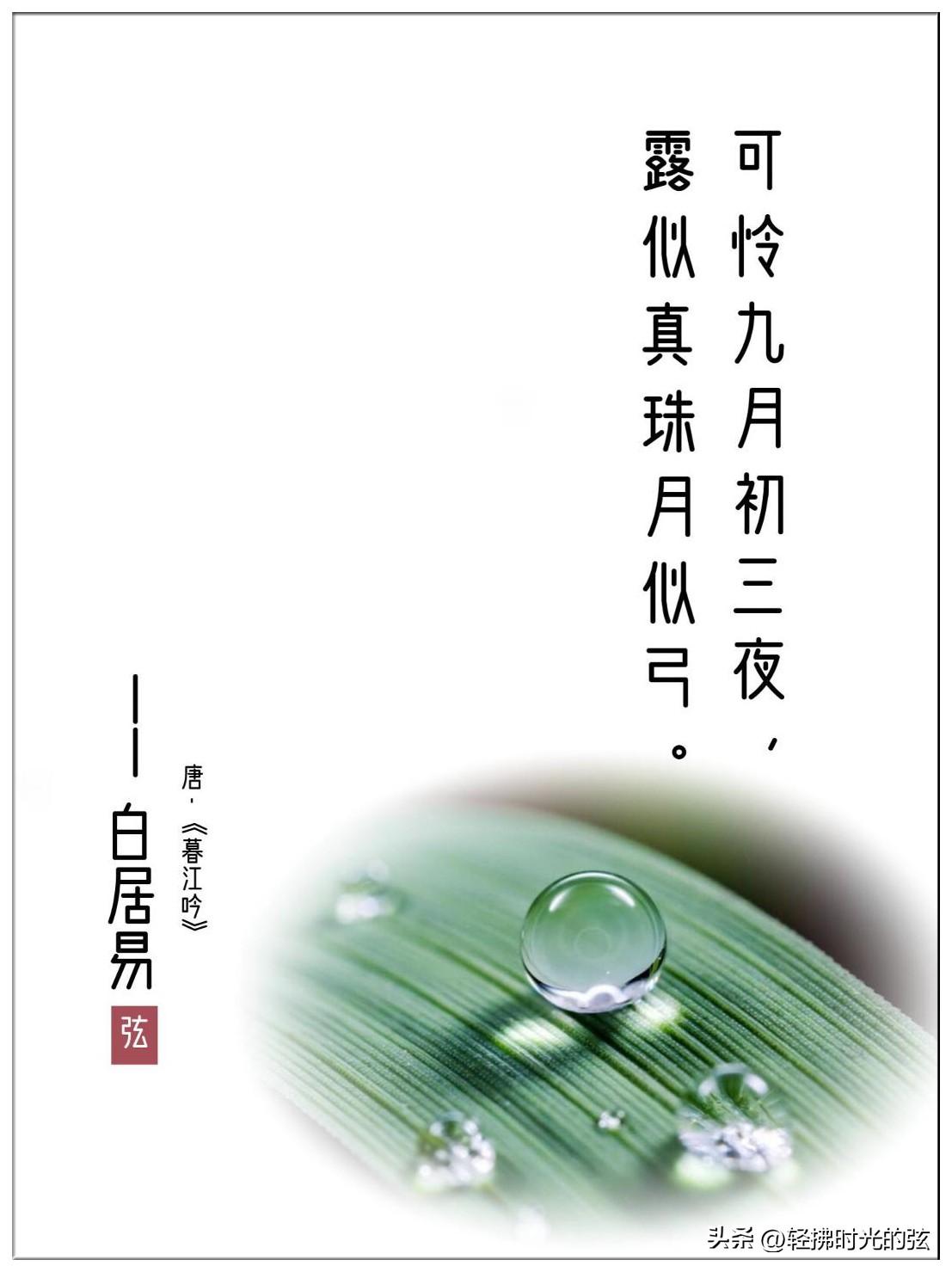 冷露湿桂花，月是故乡明（分享十三首白露古诗词）