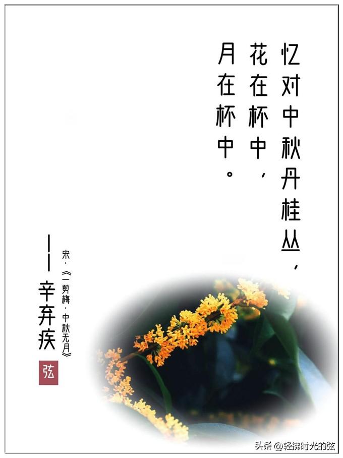 桂花经典古诗词大全（八首清绝桂花诗词）