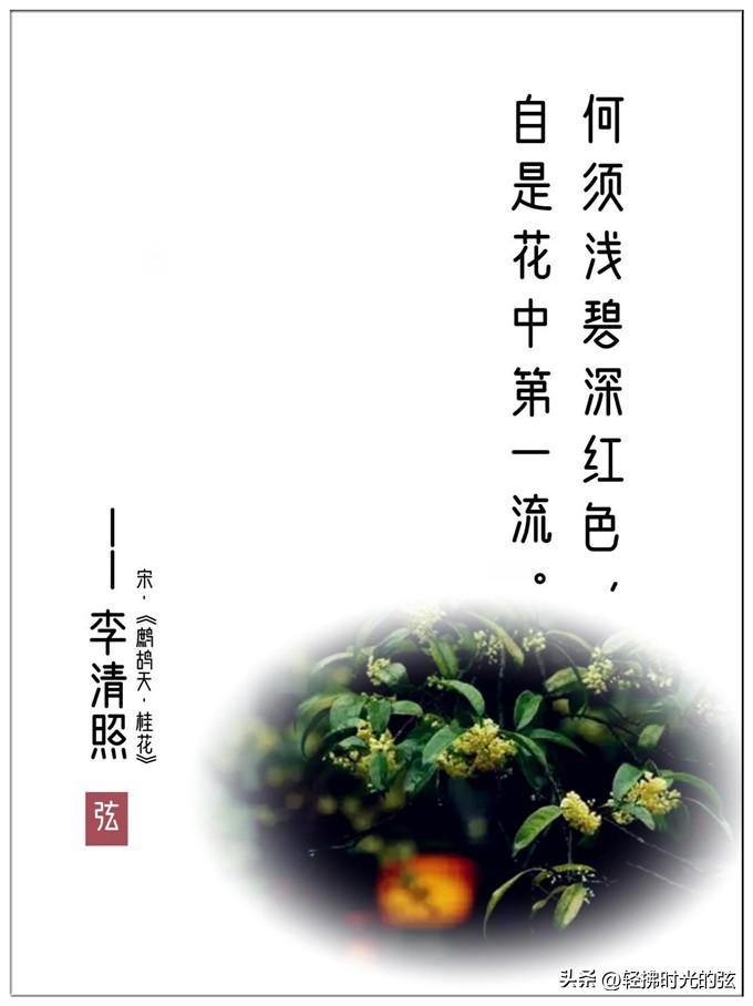 桂花经典古诗词大全（八首清绝桂花诗词）