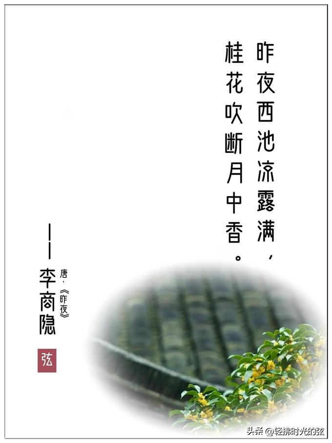 桂花经典古诗词大全（八首清绝桂花诗词）