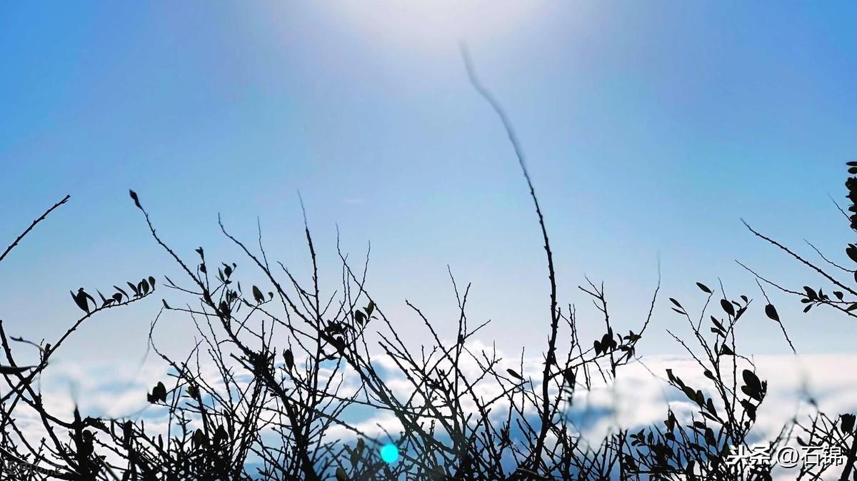 你给生活意境，生活予你风景（五首淡然诗词著名）