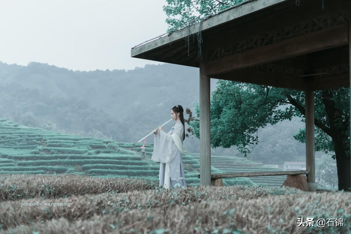 人生恰如东逝水，没有重来的机会（推荐五首悔恨诗词经典）