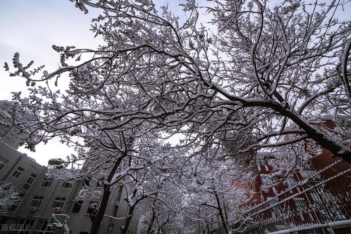 春雪诗词名句大全（五首唯美浪漫春雪诗词）