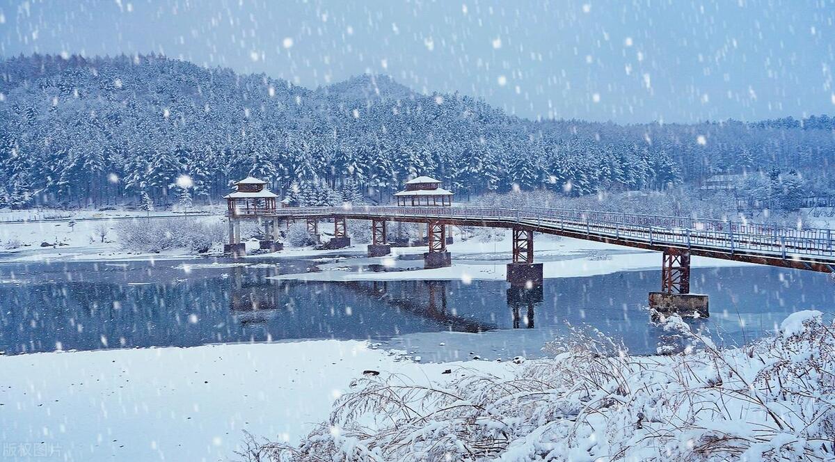 春雪诗词名句大全（五首唯美浪漫春雪诗词）