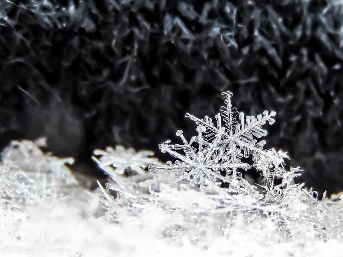 大雪诗词名句摘抄（大雪节气10首诗词）