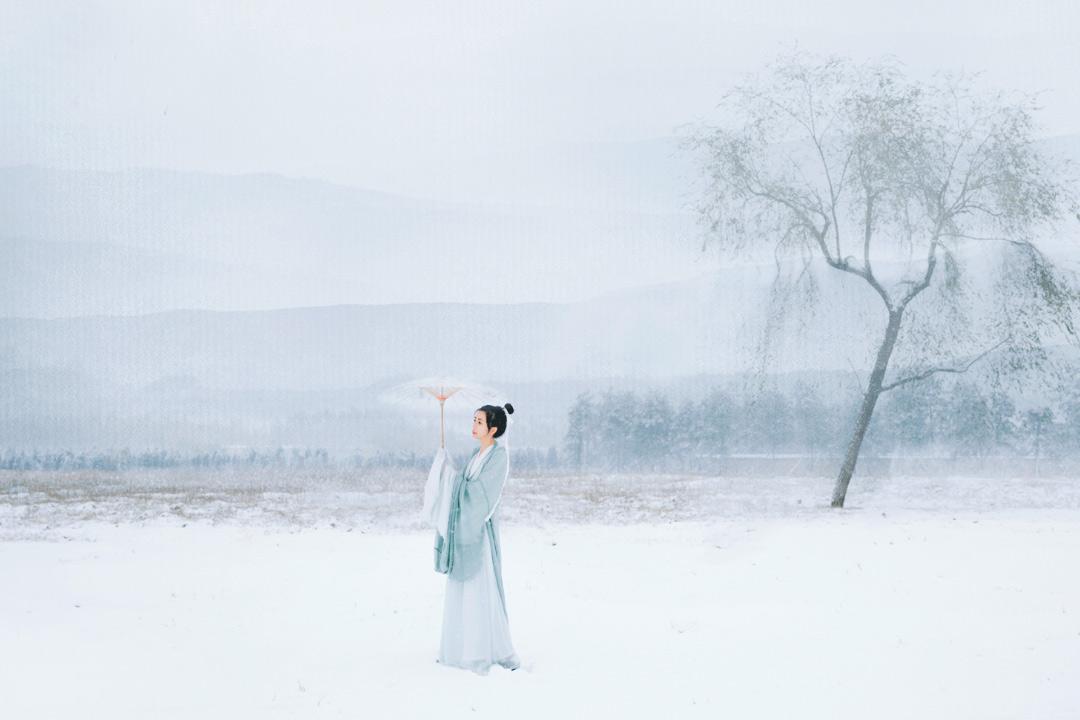 大雪诗词名句摘抄（大雪节气10首诗词）