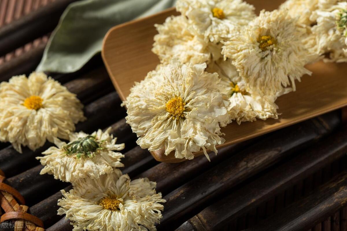 赏菊诗词名句摘抄（赏菊冷门诗词六首）