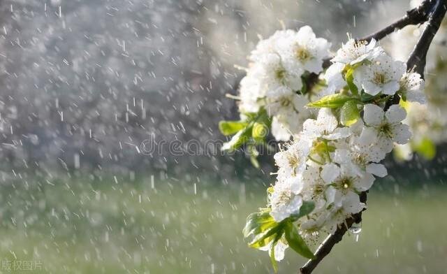 春雨经典古诗大全（10首春雨的诗词）