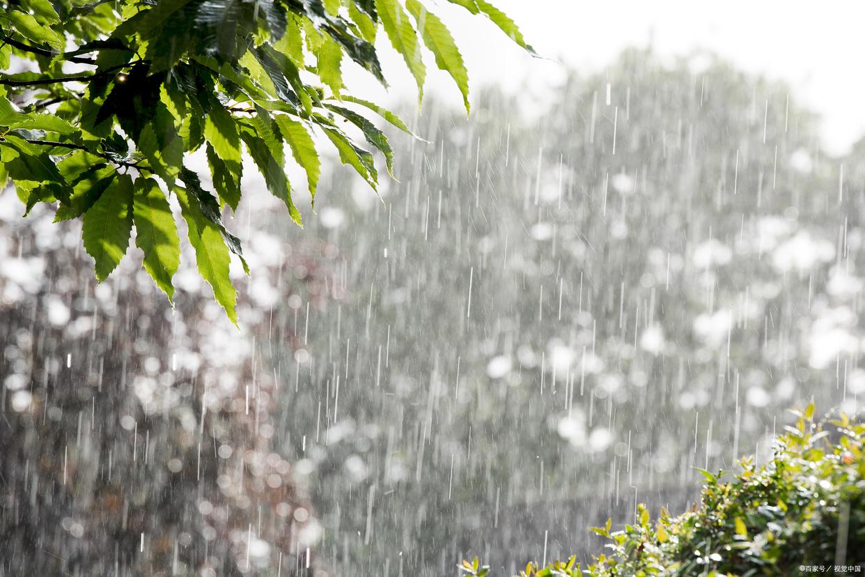 春雨经典古诗大全（10首春雨的诗词）