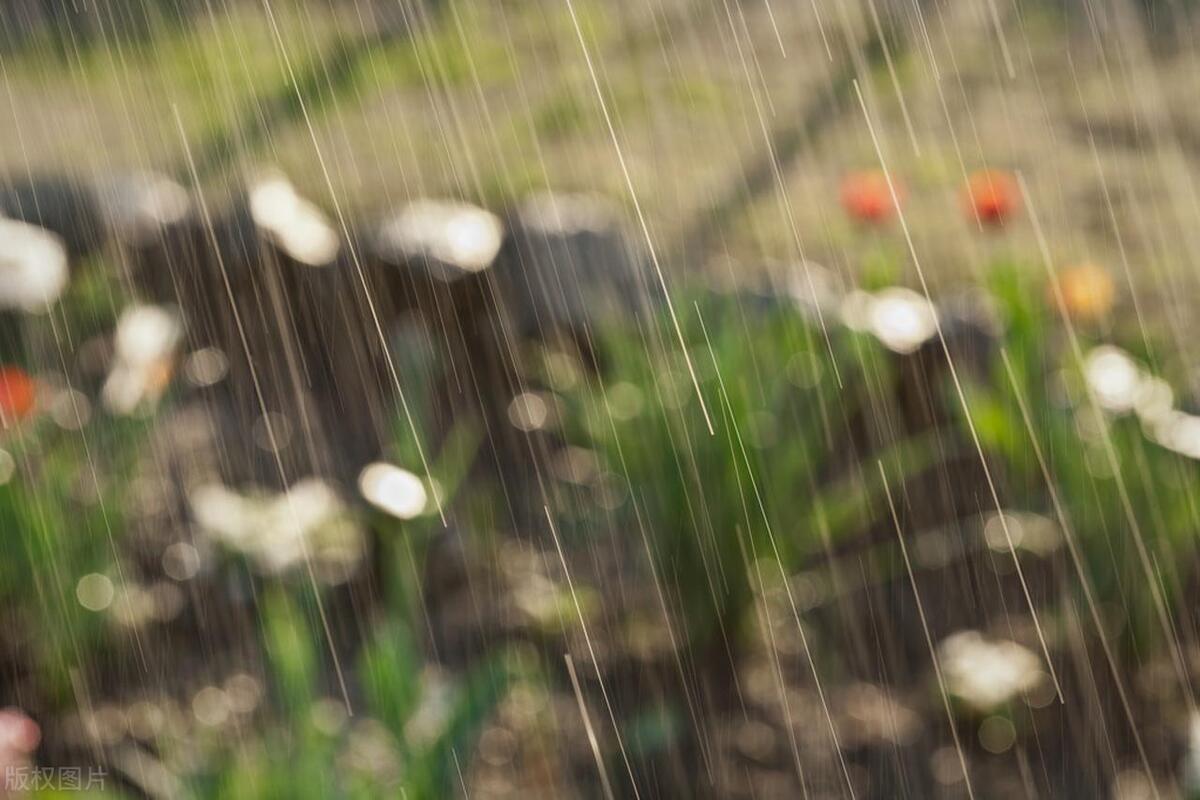 春雨经典古诗大全（10首春雨的诗词）