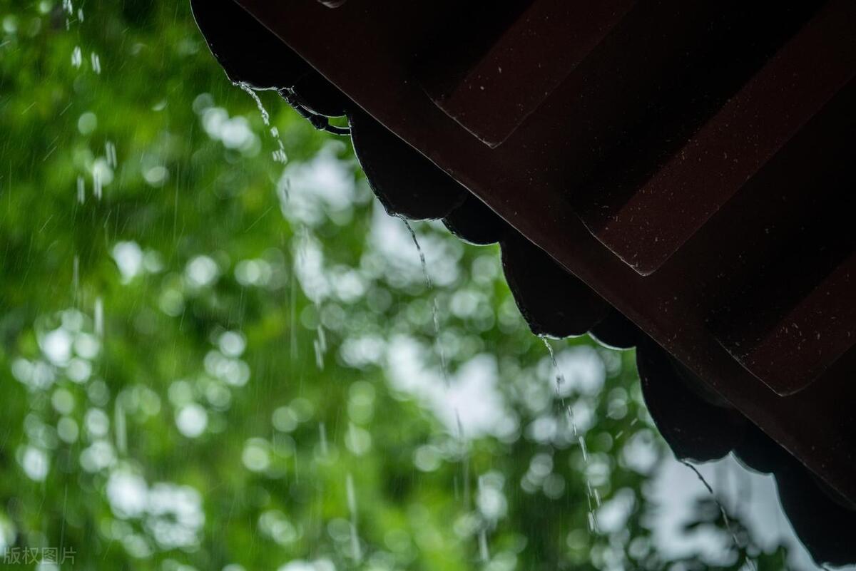 春雨经典古诗大全（10首春雨的诗词）