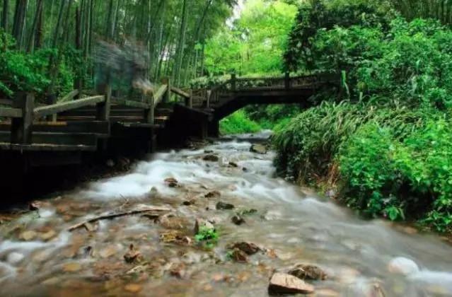 描写细雨的10句古诗词分享（上阳秋晚萧萧雨，洛水寒来夜夜声）