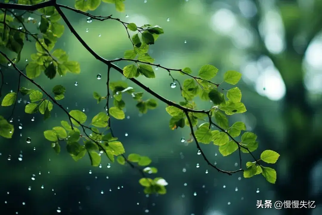 春雨诗词名句大全（30首春雨诗词经典）