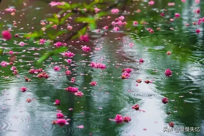 春雨诗词名句大全（30首春雨诗词经典）