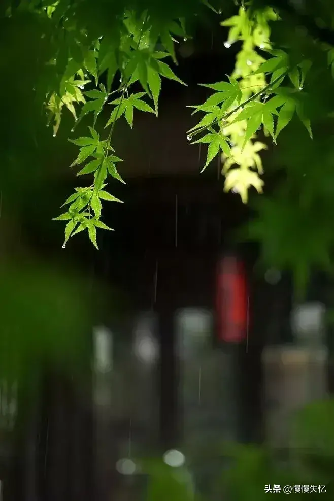 春雨诗词名句大全（30首春雨诗词经典）