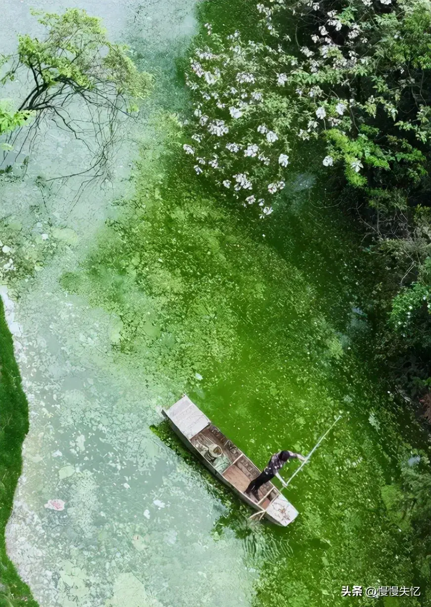 春雨诗词名句大全（30首春雨诗词经典）