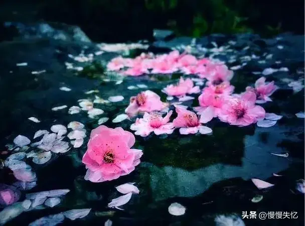 春雨诗词名句大全（30首春雨诗词经典）