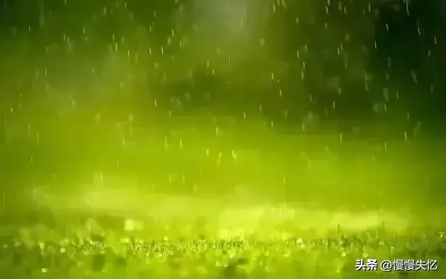 春雨诗词名句大全（30首春雨诗词经典）