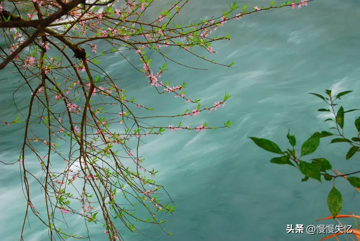 桃花流水窅然去，别有天地非人间（10首优美桃花古诗）