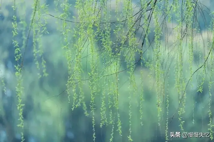 春风如贵客，一到便繁华（30首春风诗词）