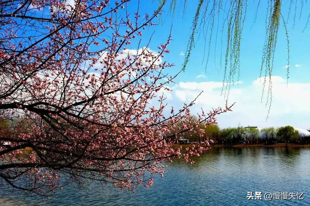 春野浮绿，万物新生（20首春日诗词经典）