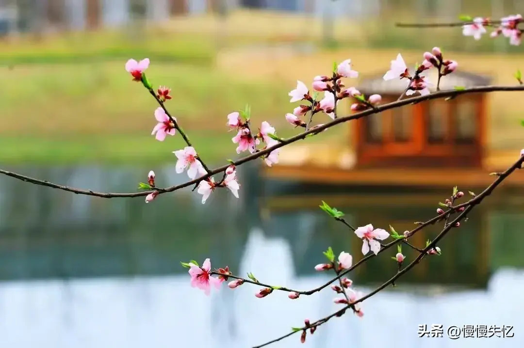 春野浮绿，万物新生（20首春日诗词经典）